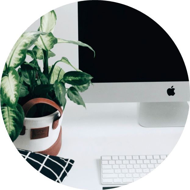 Incorporate Biophilic Design