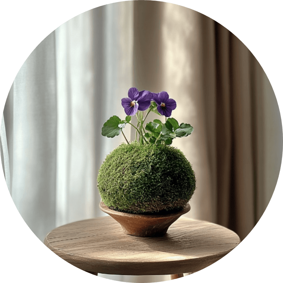 Plants Suitable for Kokedama